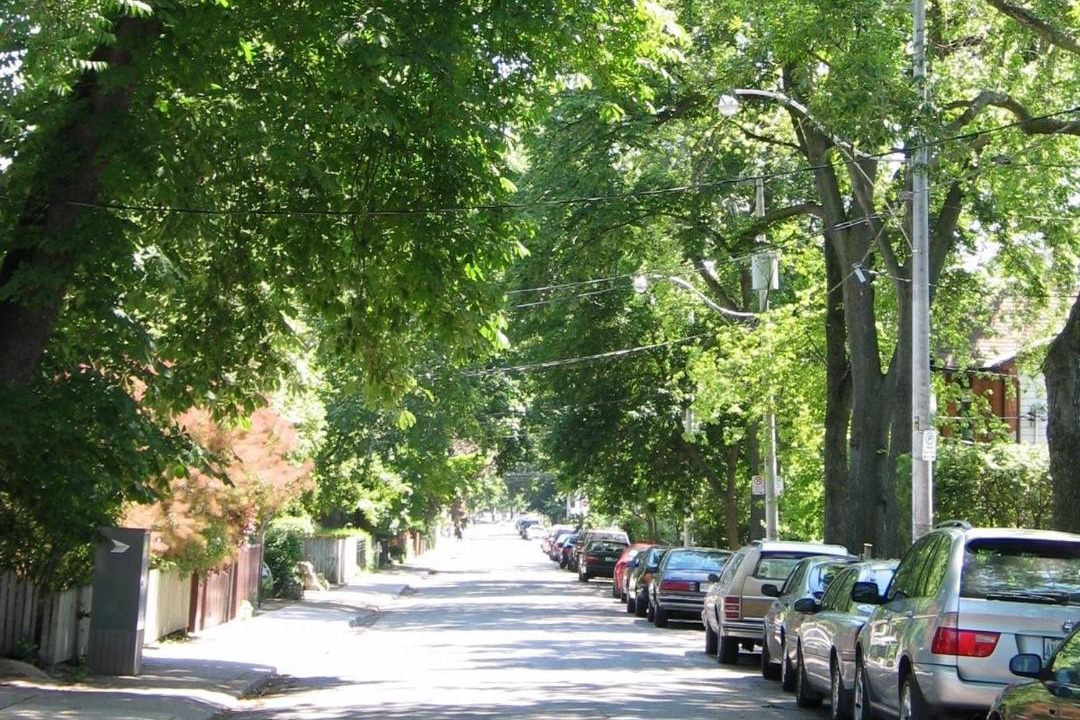 Photo of Others in Cabbagetown South