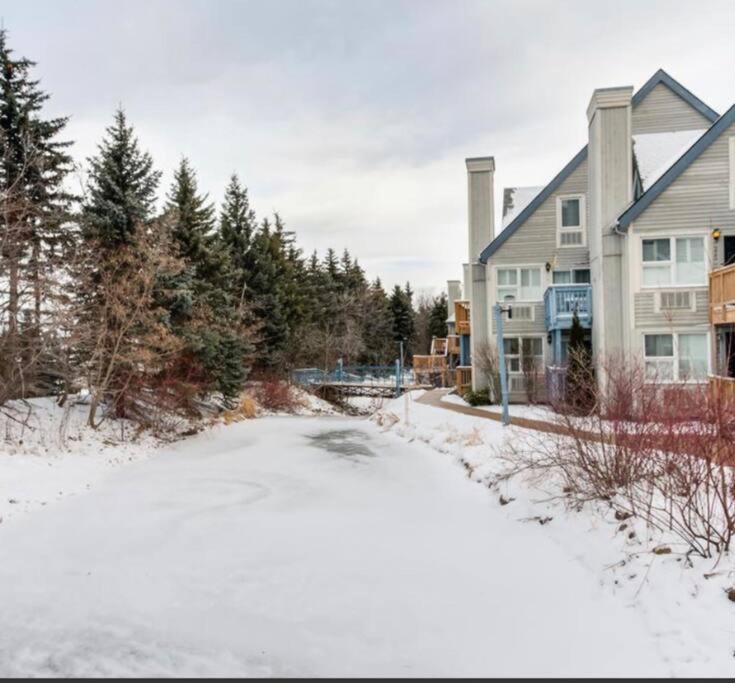 Photo of Others in Craigleith