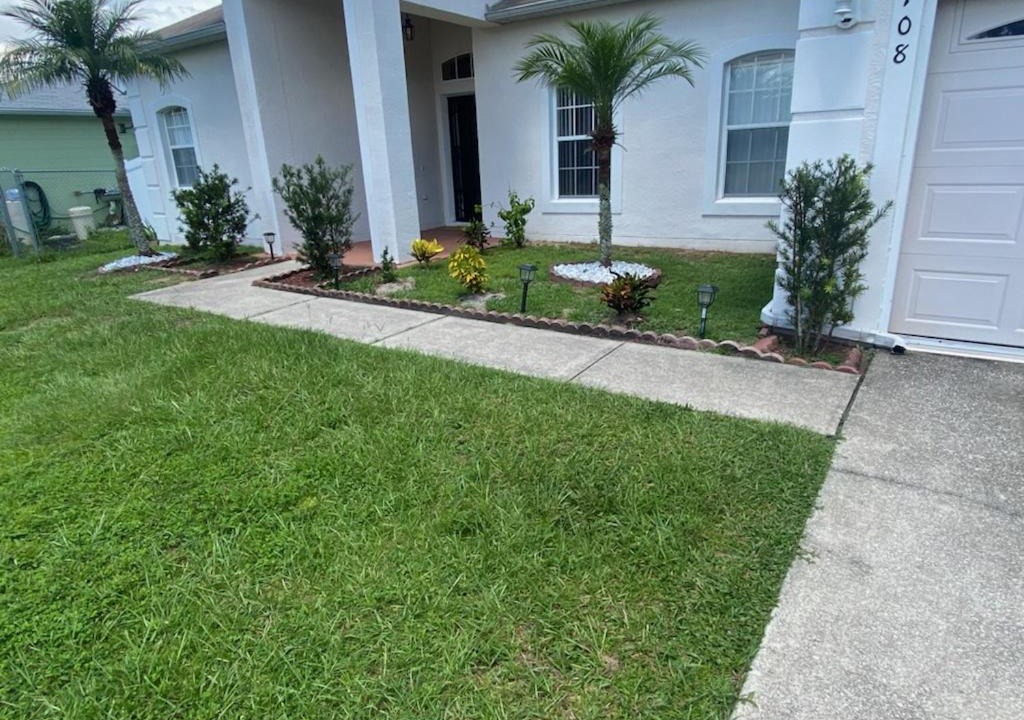 Photo of Others in Poinciana