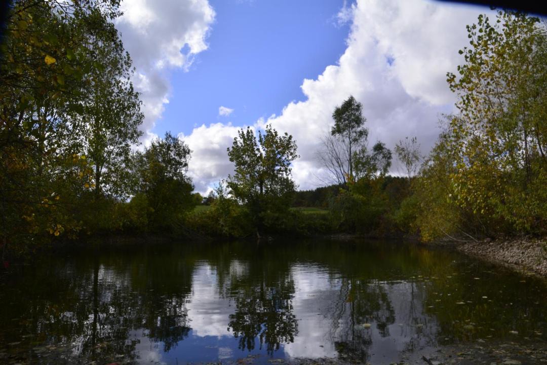 Photo of Others in Central Huron