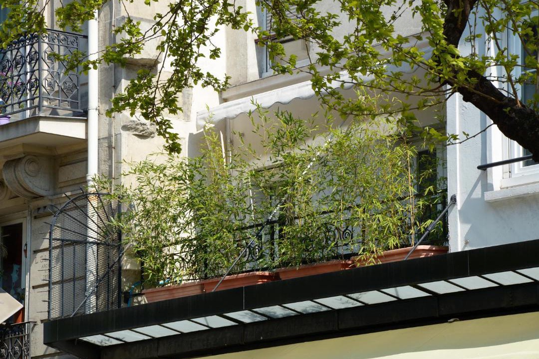 Photo of Others in Hopital Saint-Louis