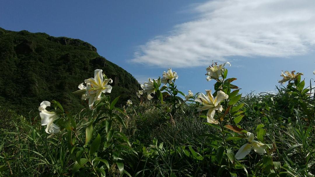 Photo of Others in Oshima