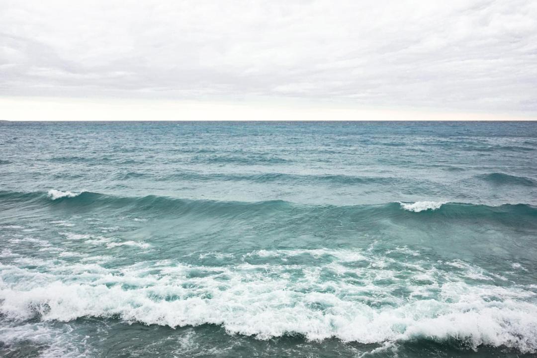 Photo of Others in Wellington
