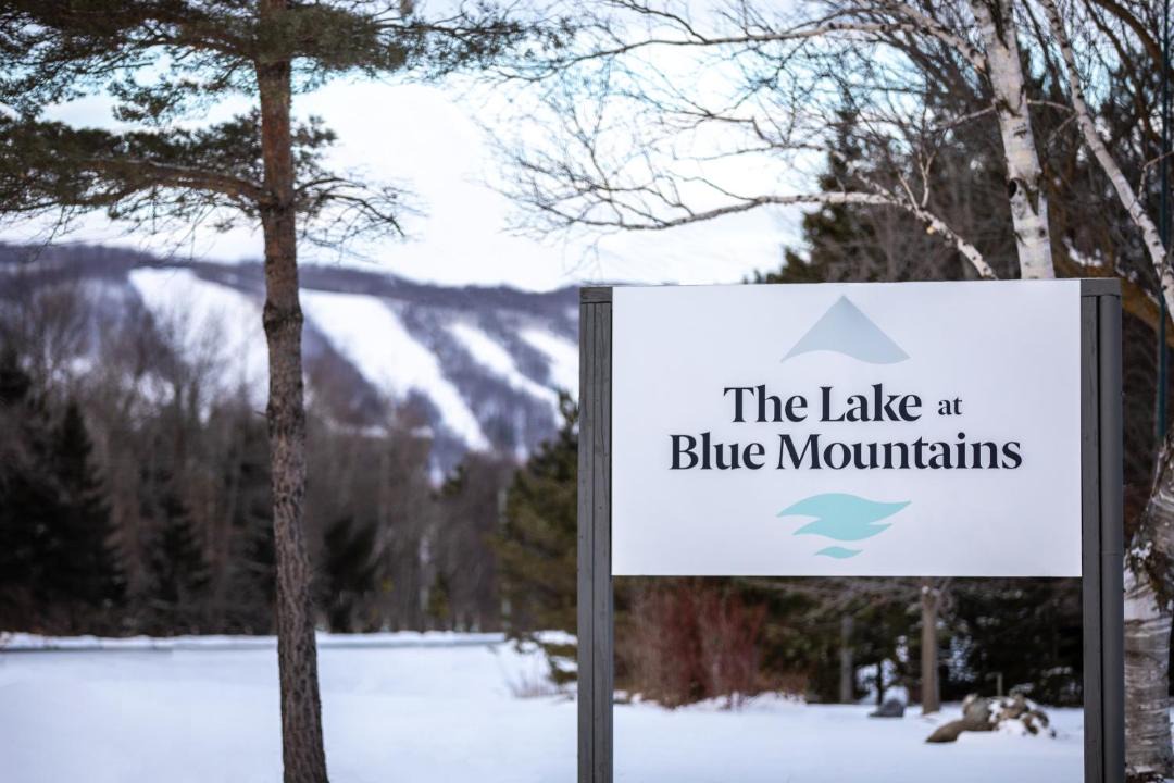 Photo of Others in The Blue Mountains