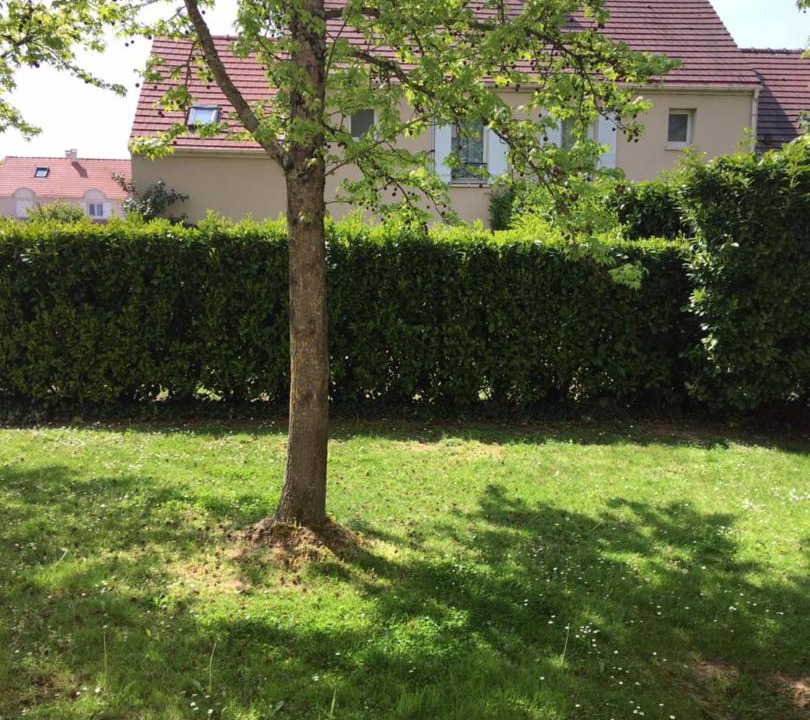 Photo of Outdoor in Magny-le-Hongre