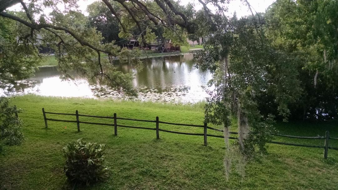 Photo of Others in Tampa