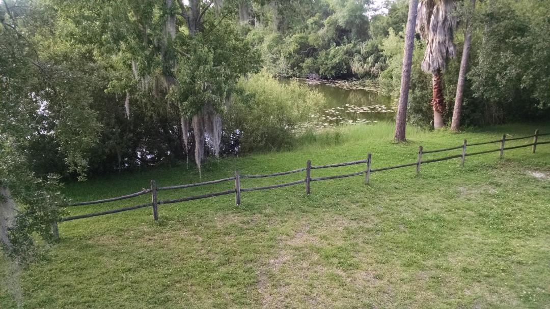Photo of Others in Tampa