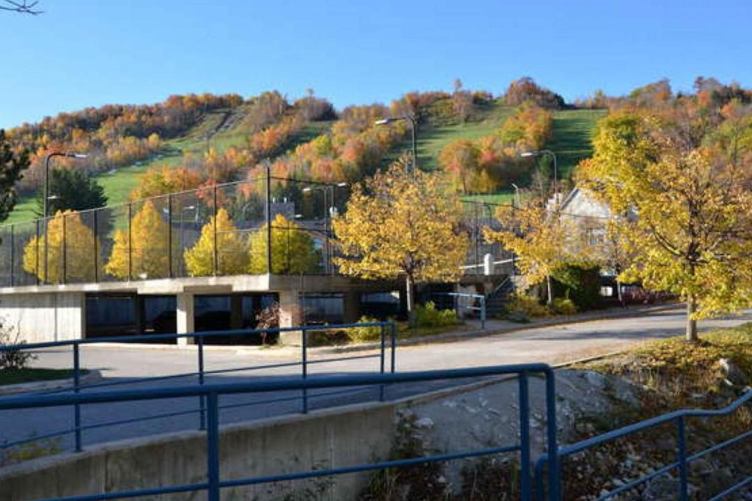 Photo of Others in Craigleith