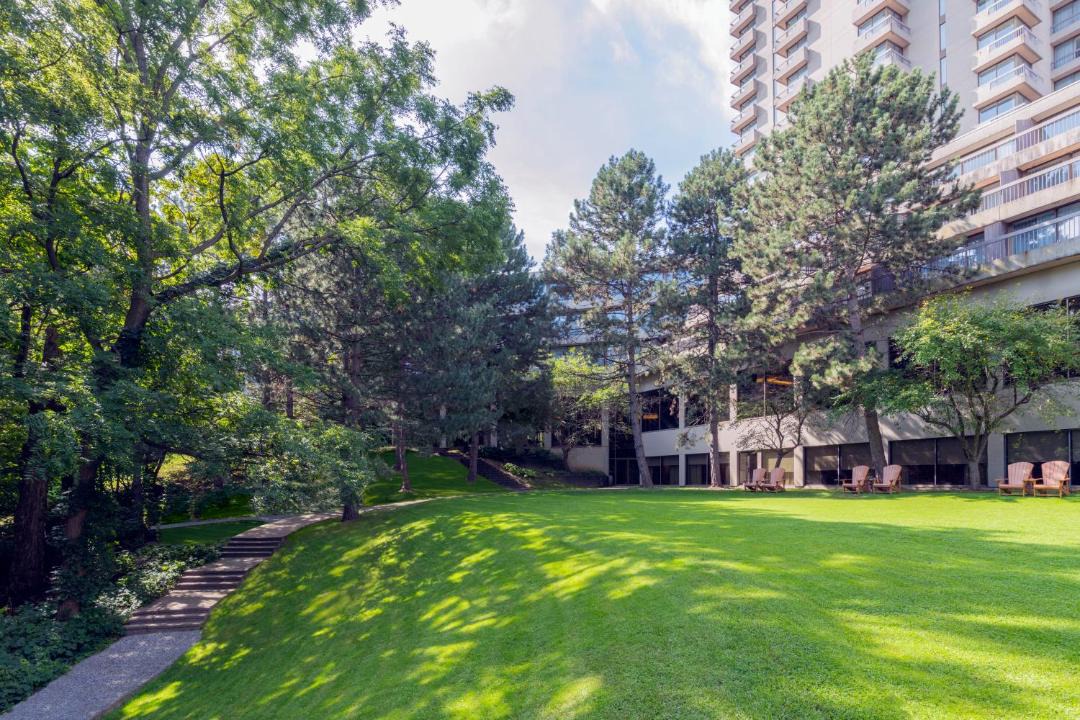 Photo of Others in North York