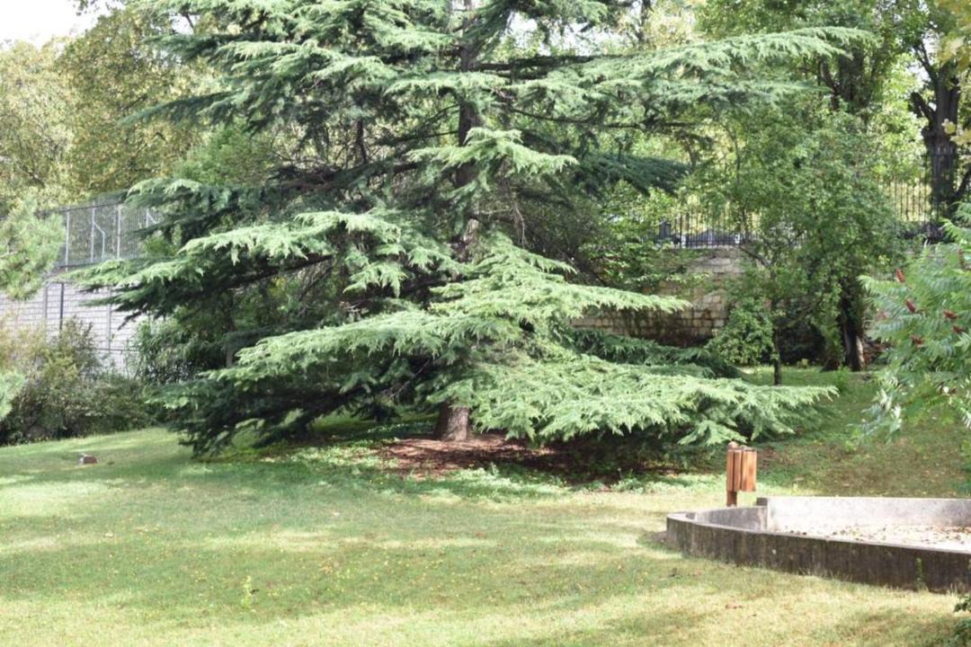Photo of Outdoor in Pere Lachaise