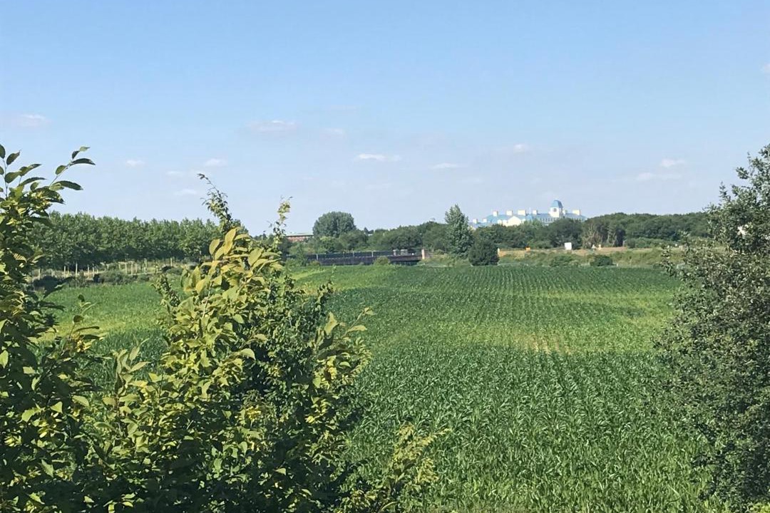 Photo of Outdoor in Serris