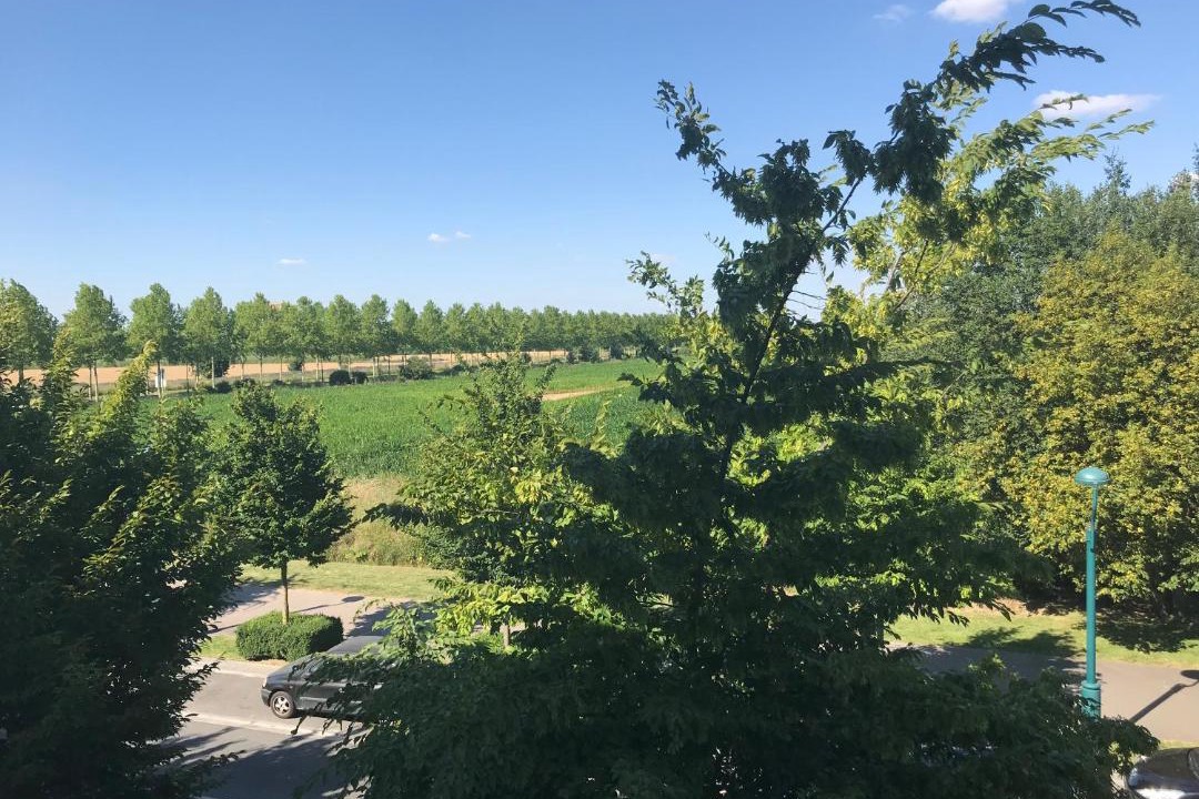 Photo of Outdoor in Serris