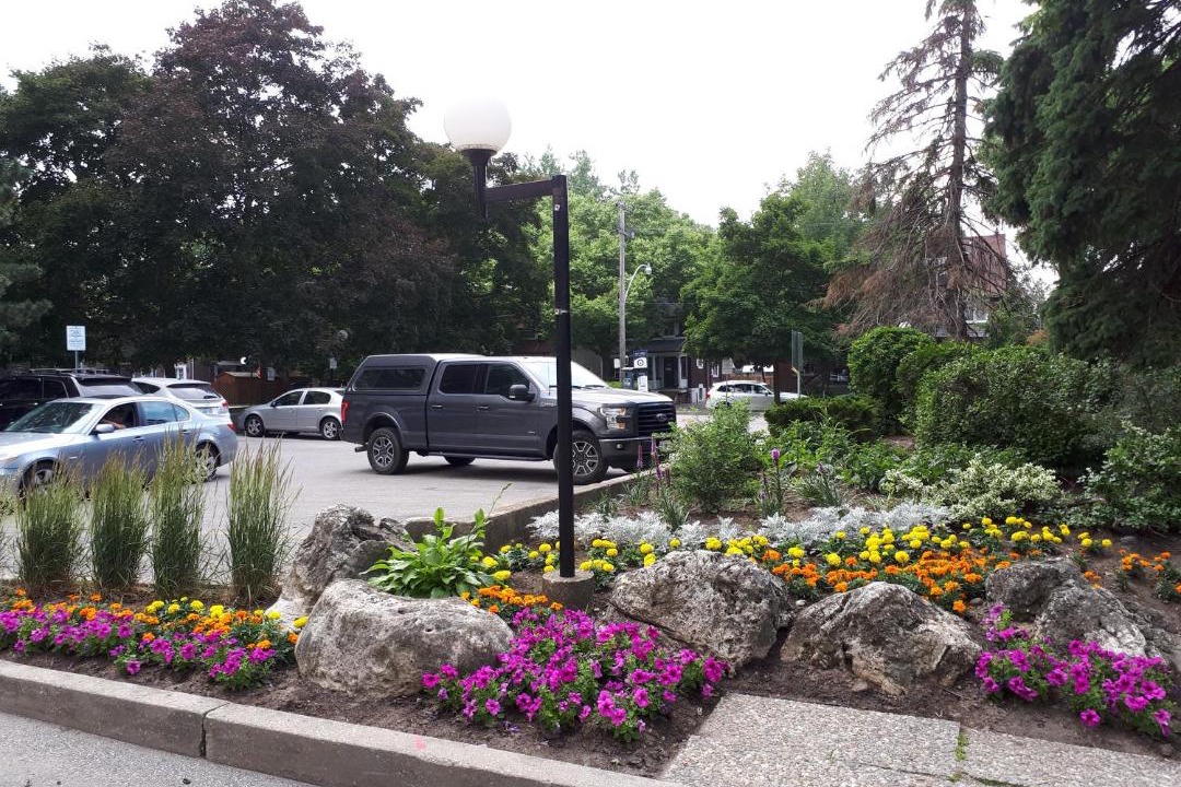 Photo of Others in High Park North