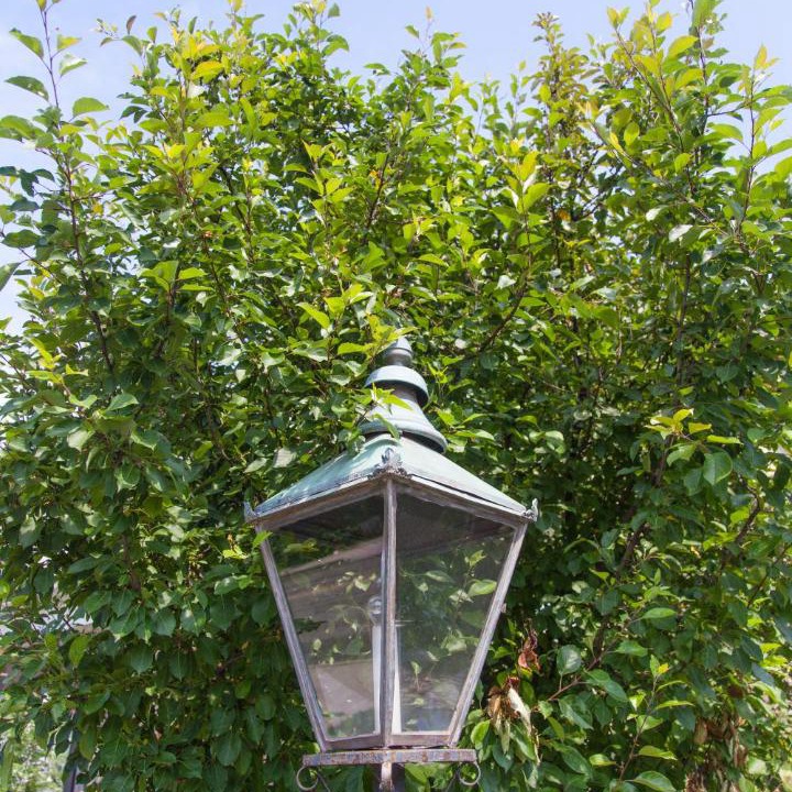 Photo of Outdoor in Stratford
