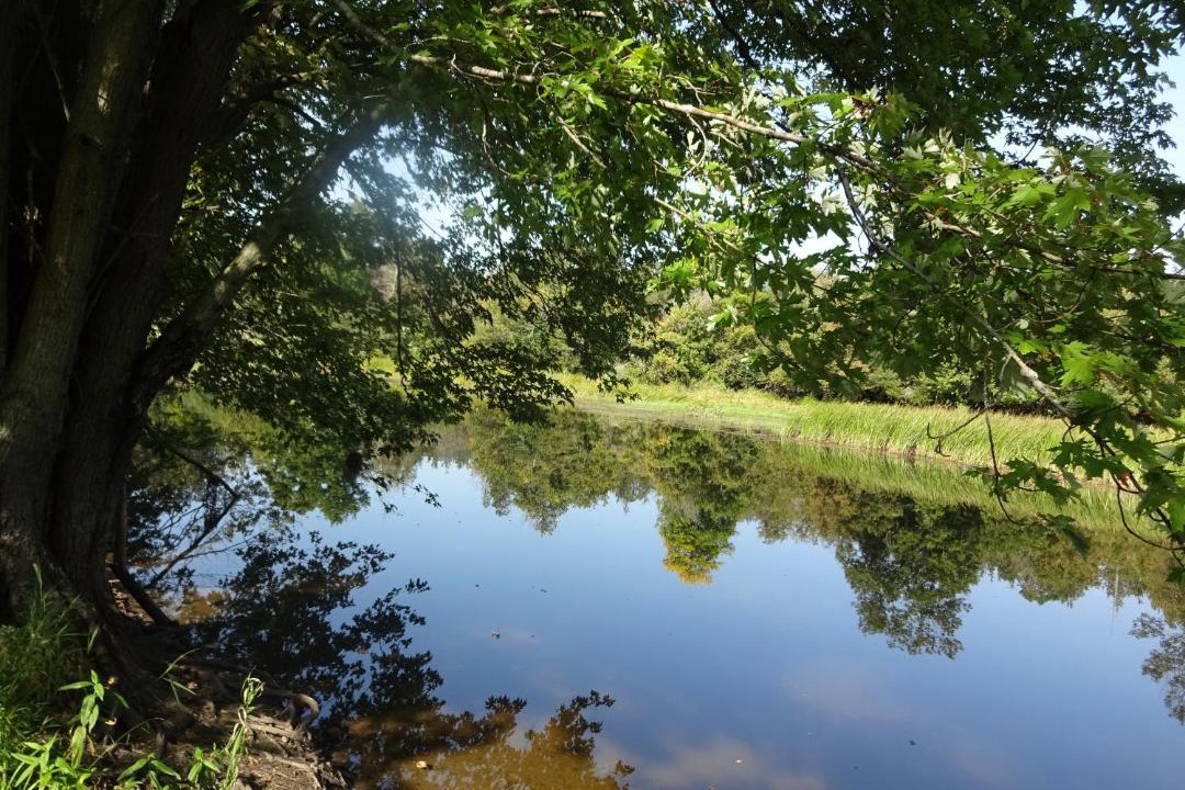 Photo of Outdoor in Shannonville