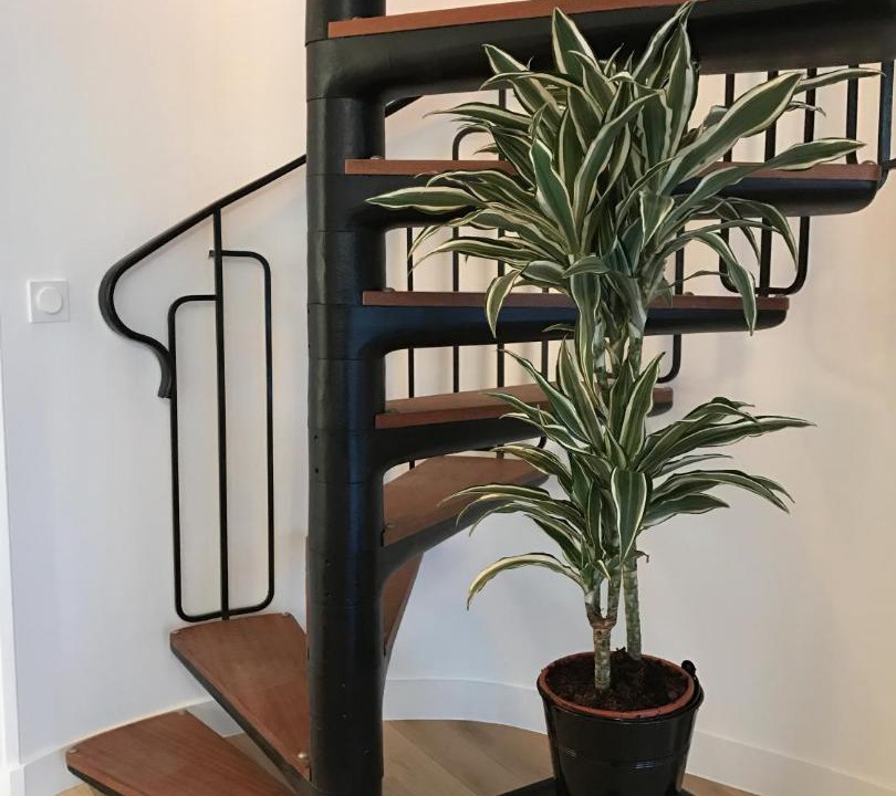 Photo of Livingroom in Jardin des plantes
