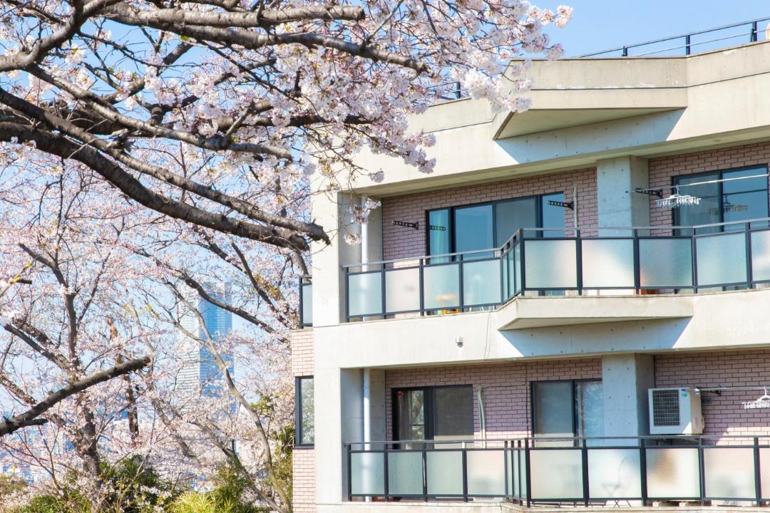 Photo of Others in Minami Ward