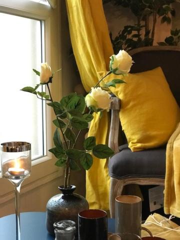 Photo of Livingroom in Saint-Louis