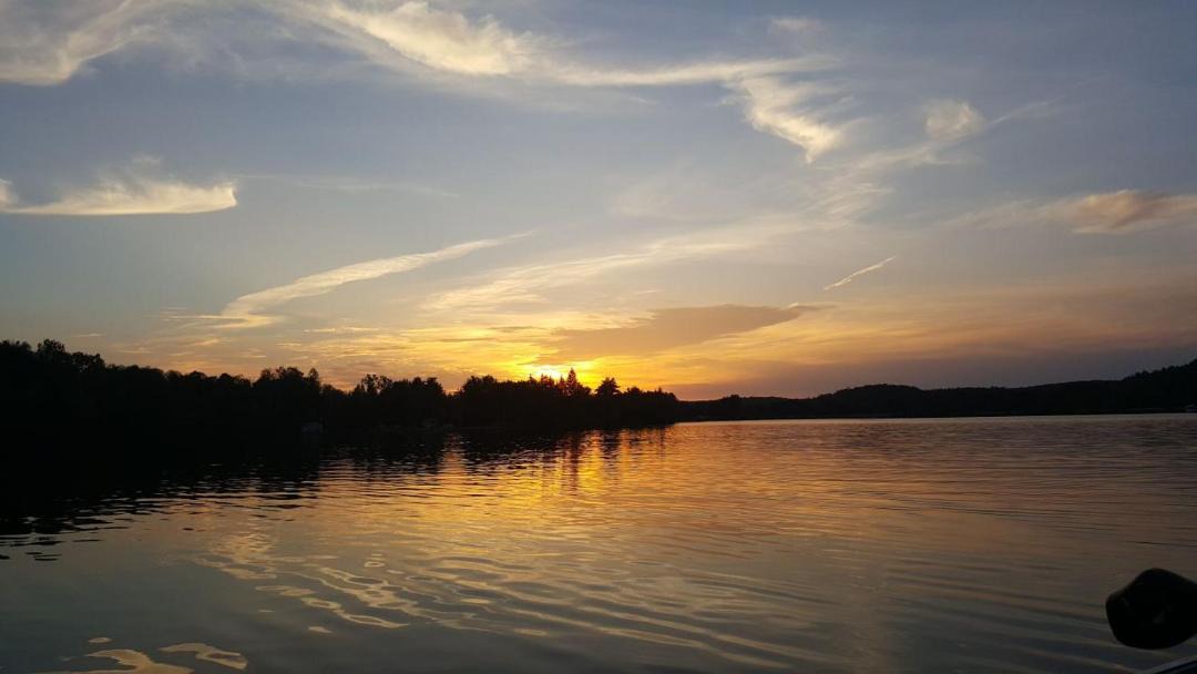 Photo of Others in South Algonquin
