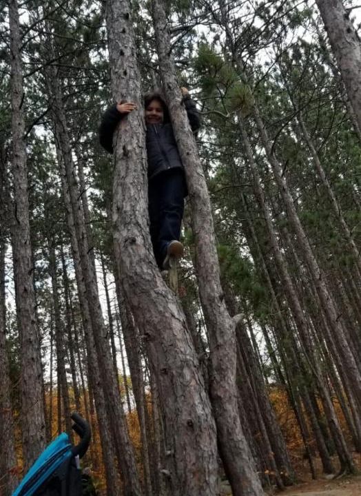 Photo of Others in South Algonquin