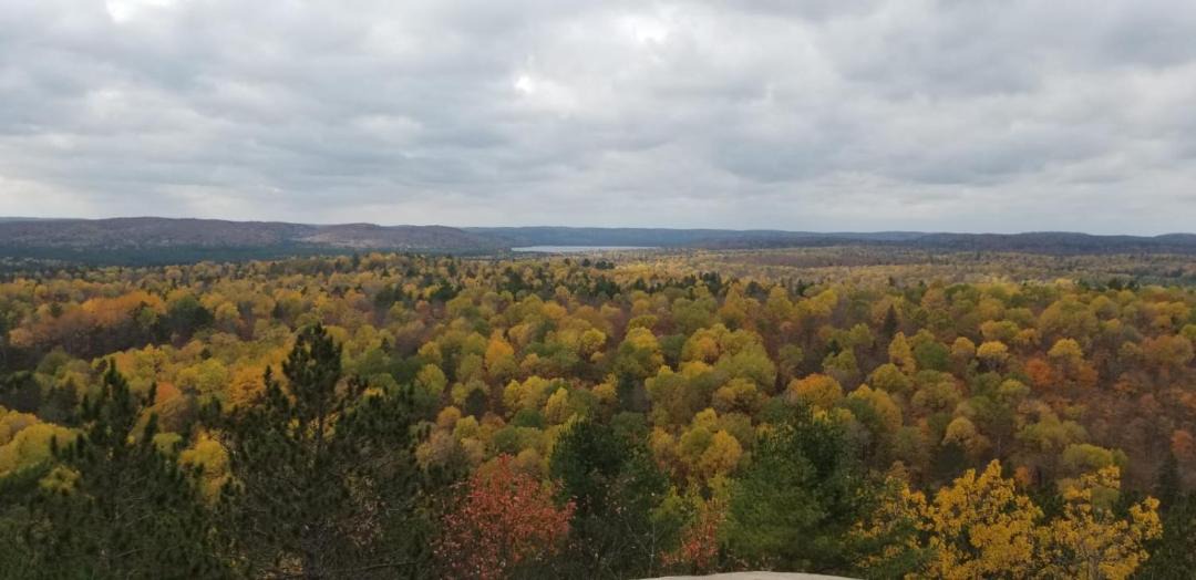 Photo of Others in South Algonquin