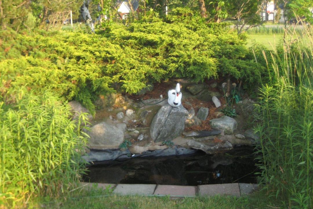 Photo of Others in Perth East