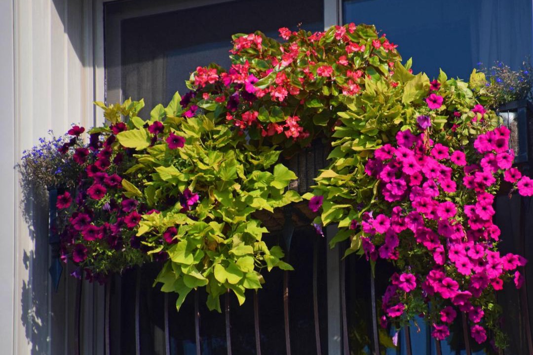 Photo of Patio Balcony in Orillia