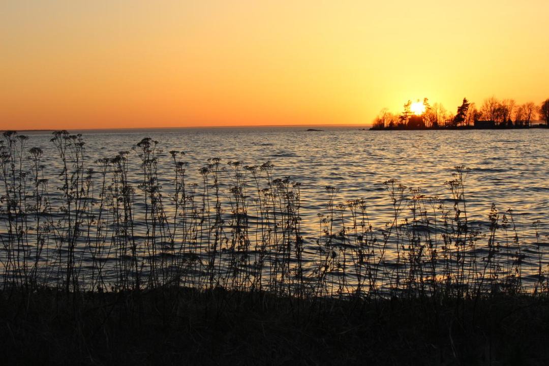 Photo of Others in North Bay