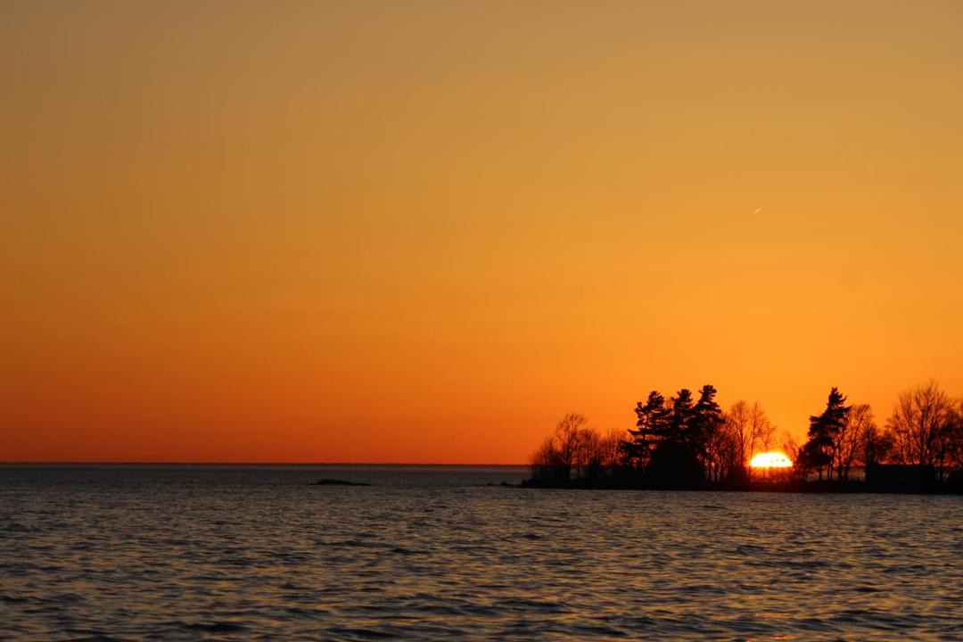 Photo of Others in North Bay