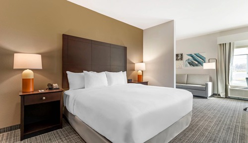 Room, 1 King Bed, Accessible, Non Smoking (Accessible Tub)