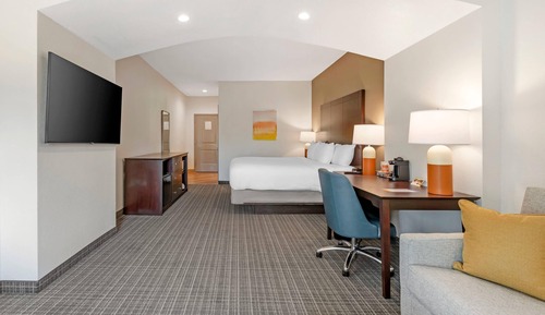 Standard Room, 1 King Bed, Non Smoking