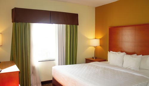 Room, 1 King Bed, Mobility Accessible, Non Smoking (Mobility, Roll-in Shower)