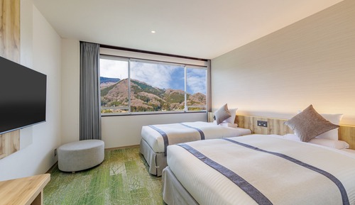 Twin Room, Non Smoking, Private Bathroom