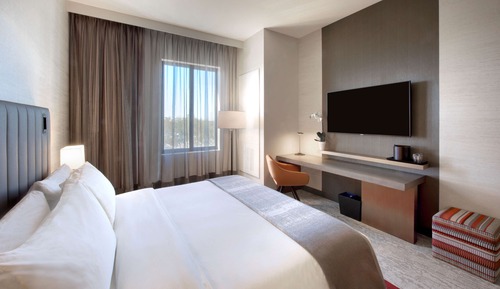 Room, 1 King Bed, Accessible