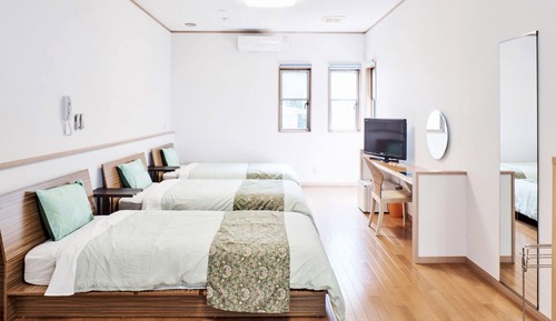 Triple Room, Non Smoking (Free Wi-Fi, Bathroom)