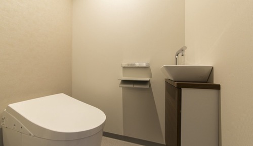 Superior Twin Room (2 single beds) for 2 person,separate bath and toilet,Non Smoking