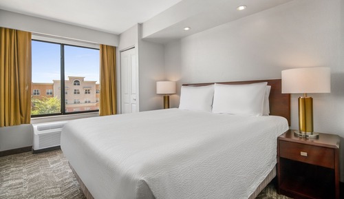 Suite, 1 King Bed with Sofa bed