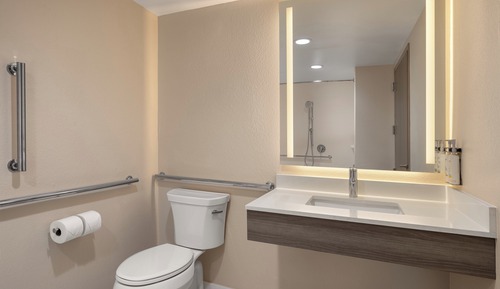 Suite, 1 King Bed, Roll-in Shower, Non Smoking (Comm, Mobility Access)