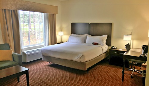 Standard Room, 1 King Bed with Sofa bed