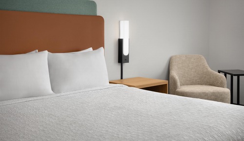 Room, 1 King Bed, Accessible, Bathtub (Mobility & Hearing)