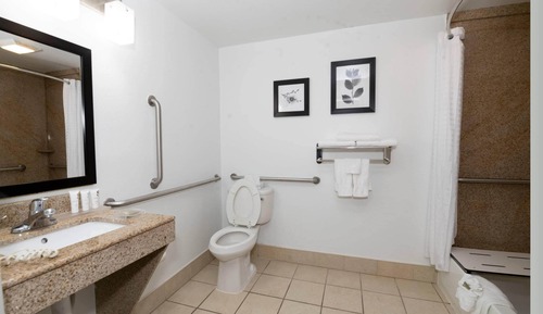 Studio Suite, 1 King Bed, Accessible, Non Smoking