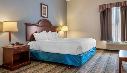 Room, 1 King Bed with Sofa bed, Accessible, Non Smoking