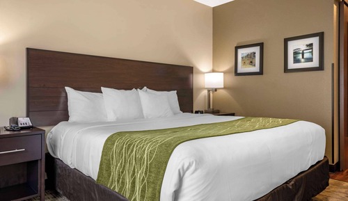 Standard Room, 1 King Bed, Non Smoking