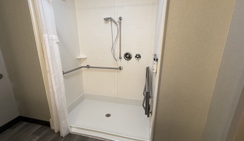 Standard Room, 1 King Bed, Roll-in Shower (Comm Access,Roll-In Shower)
