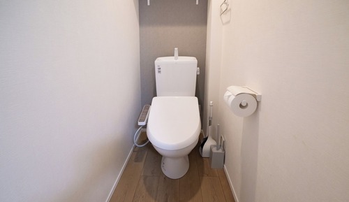 Apartment, Non Smoking (102)