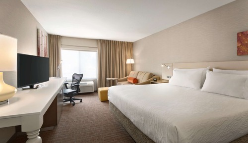 Room, 1 King Bed