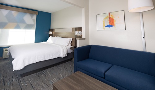 Suite, 1 King Bed with Sofa bed