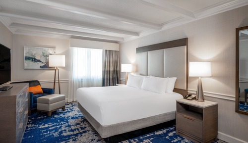 Executive Suite, 1 King Bed