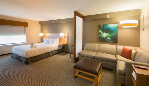 Room, 1 King Bed with Sofa bed, Accessible, Bathtub