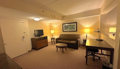 Deluxe Suite, 1 King Bed with Sofa bed, Non Smoking